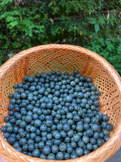 縄文のチカラ　アオトラ　10mmパワーストーンブレスレット